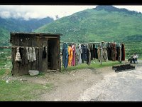 2003-L-M-Rotangla-01