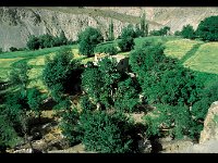2003-L-I-Chilling-10  Chilling  Idyllisches Dorf oberhalb des Flusses Zanskar gelegen.