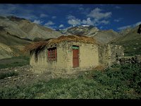 2003-L-III-Pikdongla-06