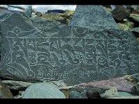 2003-L-III-Singela-06