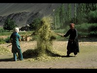 Stok - Chilling - Alchi