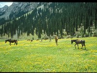 2005-K-d-Karakol-029