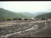 2005-T-F-DnachCH-34-Zigar