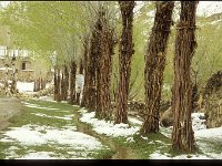 2005-T-LX-GarmShasma-19