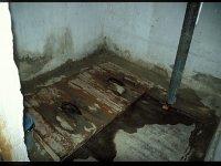 2005-T-M14-Murghab-33