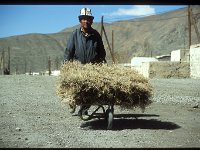 2005-T-M15-Murghab-32