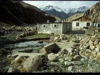 2005-T-M37-Murghab-69