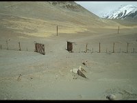 2005-T-P10-Pamir-61