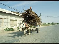 2005-U-c-Buchara-002