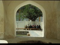 2005-U-d-Buchara-013