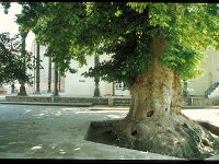 2005-U-e-24-Shar-e-Sabs-014