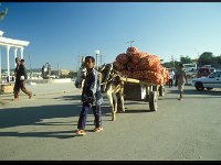 2005-U-e-Samarkand-050