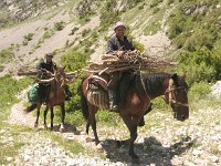 07-KulMazar-12-Holzsammeln