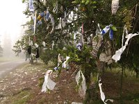 00-C-AlaArcha-02-Wuensche