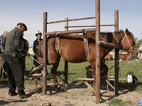 02-Karakol-20-Viehmarkt-beschlagen