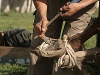 02-Karakol-21-Viehmarkt-Beschlagen