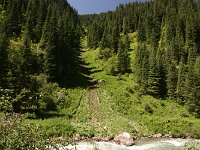 02-YetiUguz-06a-BaeumeFaellen