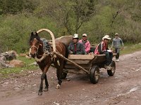 02-YetiUguz-10-Pferdewagen