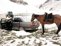 05-Naryn-00j-Audi-Pferd