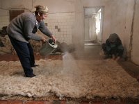 Südküste Yssik Kul