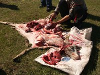 04-SonKul-10c-Zerlegt