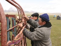 04-SonKul-13b-dasDach