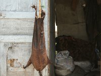 06-Sued-13-Vermentierer