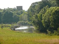 13302-Grossbademeusel