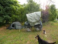 15105-Neuküstrinchen