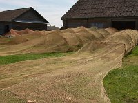 0109-novaja-ladoschka