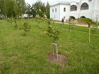 0829-vologda