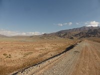 P1040982  ... und morgens ist es wieder friedlich!