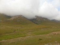 P1050105  ... wie in Irland ...