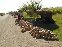 P1050483  Kürbisse am Straßenrand