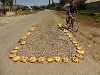 P1050508  und so werden die Kerne dann getrocknet