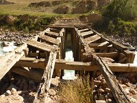 P1050837  ... nicht mehr ganz vertrauens Würdig