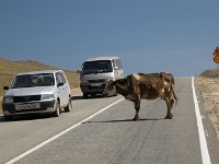 bb-502  ... und werden umfahren