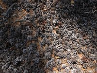 cc-104  ... aber der erhoffte Blick auf den östlichen Baikal bleibt mir verwehrt