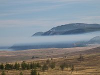 cc-407-dunstsreifen  Dunststreifen