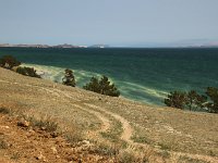 ee-007  Blütenstaub der Kiefern