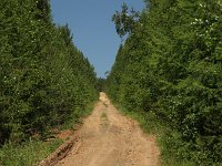 ee-125  und 45 km auf dieser Straße (?)