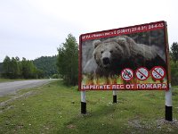 02-091-rette-den-wald-1-IMG 6927