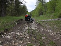 03-030-zum-pass-MG 6996