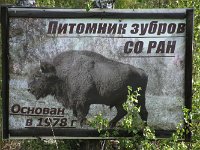 05-081-IMG 7676  ... Bison ...