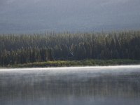 019-dog-lake-morgens  Morgenstimmung am Dog Lake