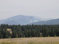 022-Feuer-im-Wald  Feuer im Wald