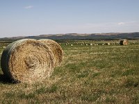047-Landwirtschaft  Castle Wildland Landwirtschaft