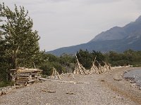 054-Waterton-Beach-Holz  Waterton Beach Holzanspühlungen