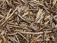 055-Waterton-Holz  Waterton Holz