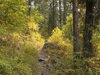 MG 0452  Mc Donald Lake Reservoir